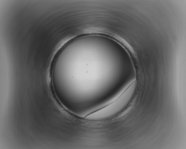 X0000116150885200911231329