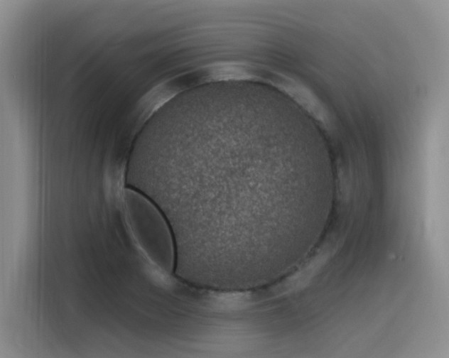 X0000116150889200911231329