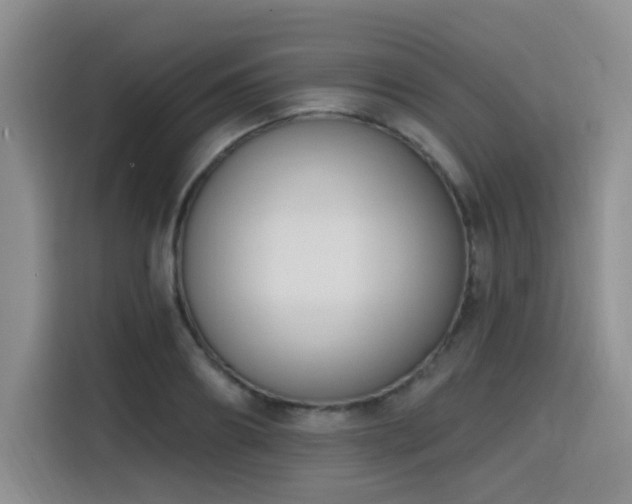 X0000116150890200911231329