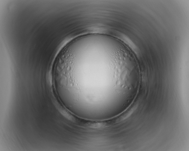 X0000116150891200911231329