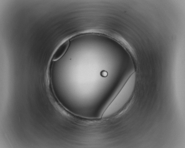 X0000116150892200911231329