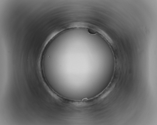 X0000116150893200911231329