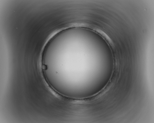 X0000116150894200911231329