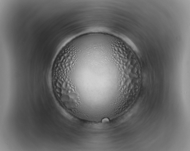 X0000116150895200911231329