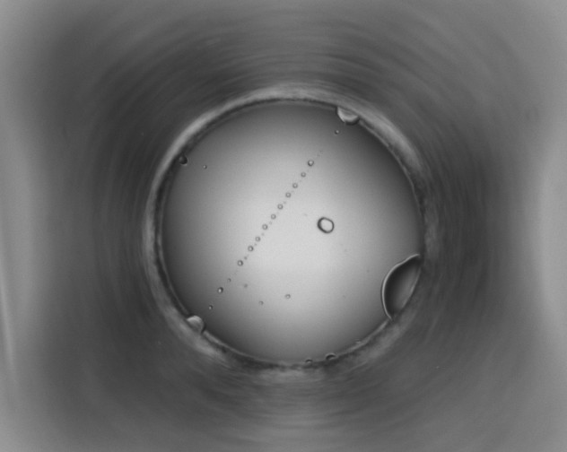 X0000116150896200911231329