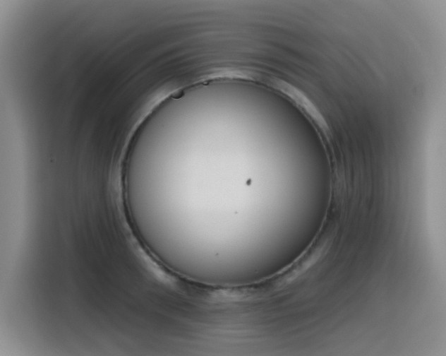 X0000116150898200911231329