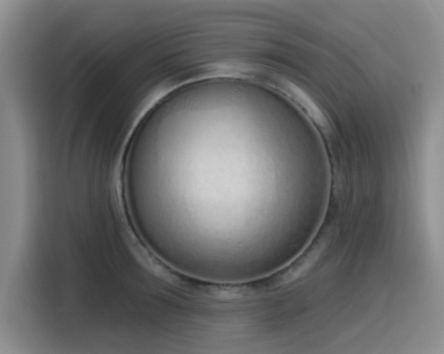 X0000116150899200911231329