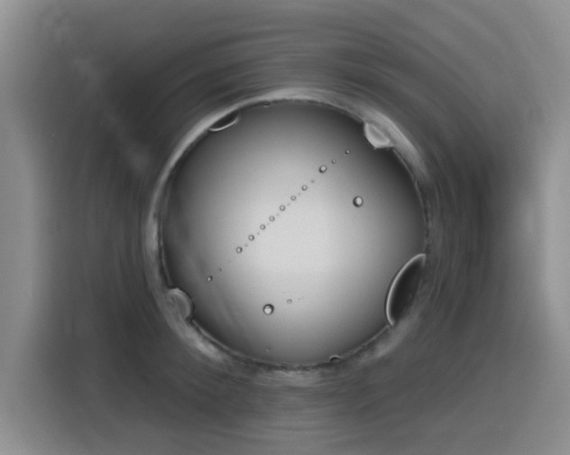 X0000116150900200911231329