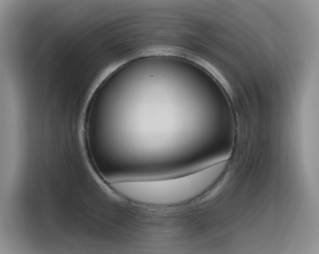 X0000116150901200911231329