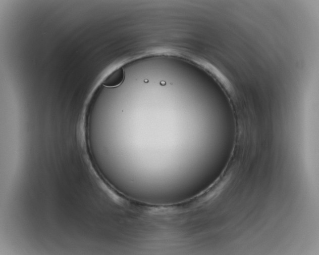 X0000116150902200911231329