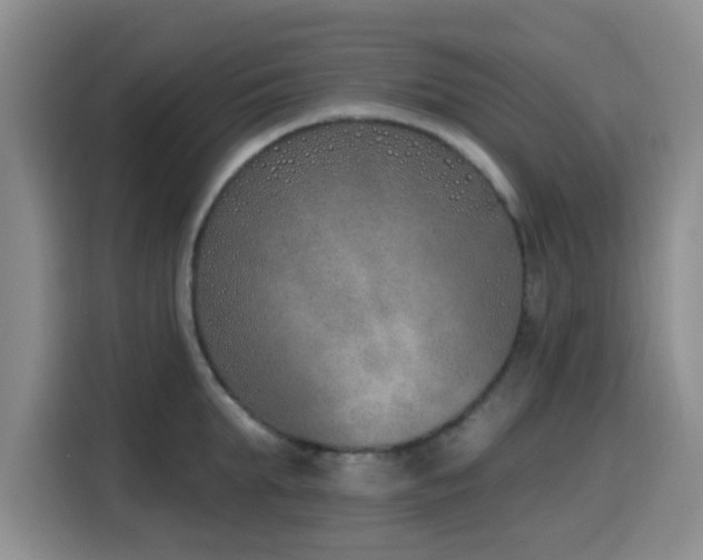 X0000116150903200911231329