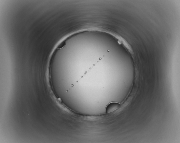 X0000116150904200911231329