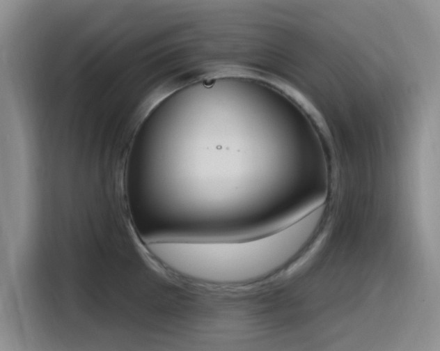 X0000116150905200911231329