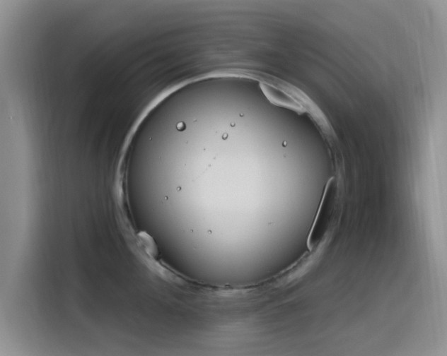 X0000116150908200911231329