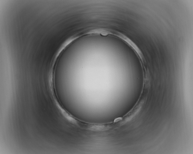 X0000116150909200911231329