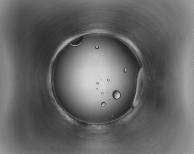 X0000116150910200911231329