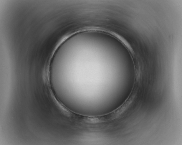 X0000116150911200911231329