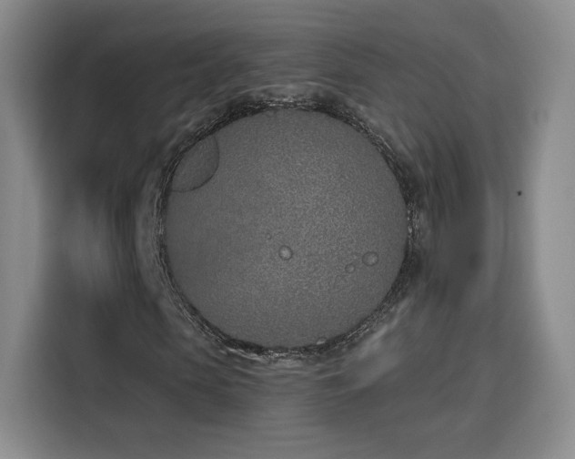 X0000116150913200911231328