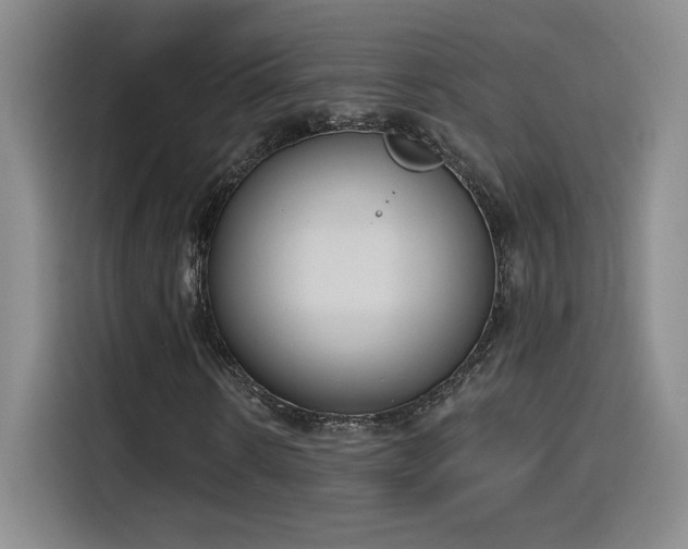 X0000116150914200911231328