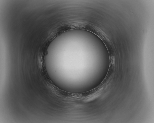 X0000116150915200911231328