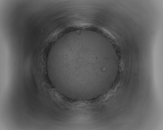 X0000116150917200911231328