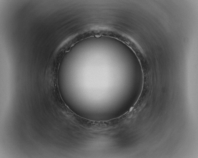 X0000116150919200911231328