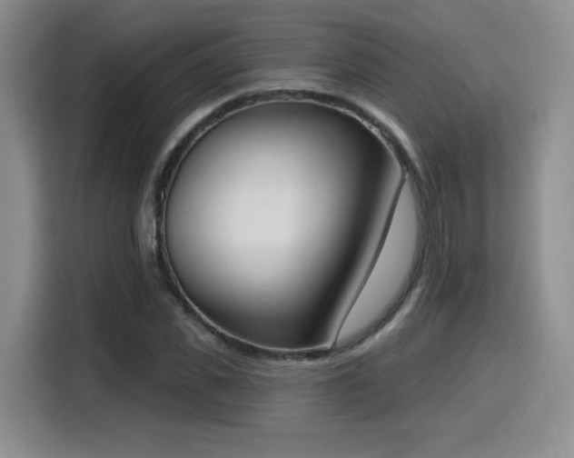 X0000116150925200911231328