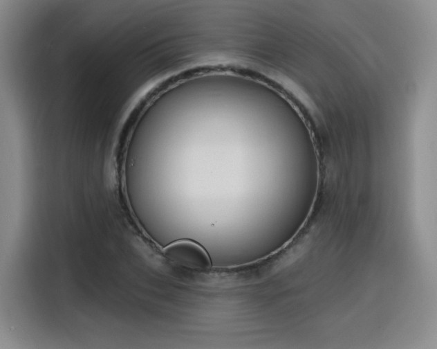 X0000116150927200911231328