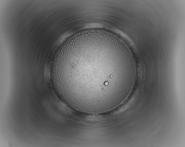 X0000116150929200911231328