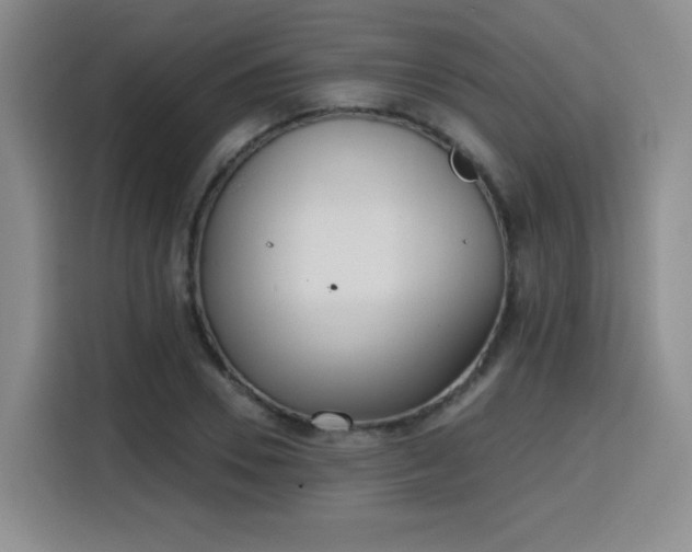 X0000116150930200911231328