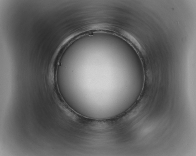 X0000116150931200911231328