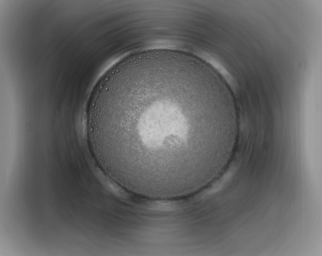 X0000116150933200911231328