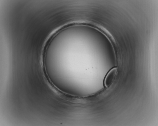 X0000116150935200911231328