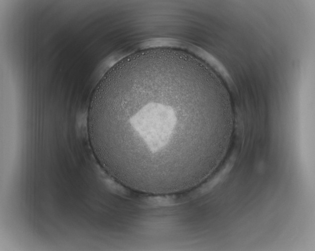 X0000116150937200911231328