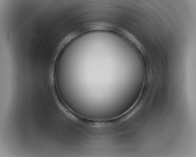 X0000116150938200911231328