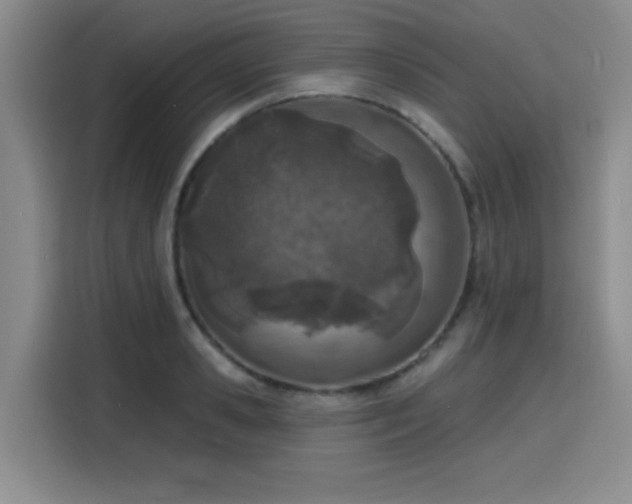 X0000116150941200911231328