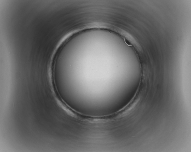 X0000116150942200911231328