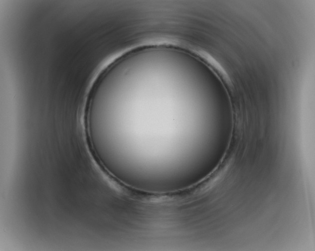 X0000116150943200911231328