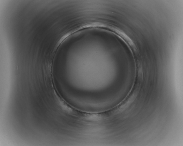 X0000116150945200911231328