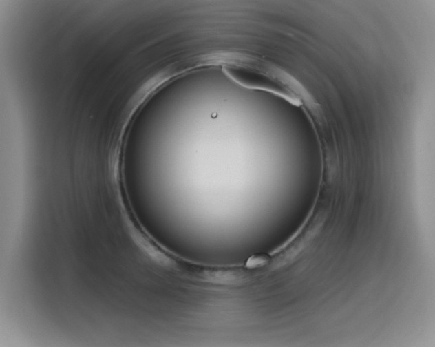 X0000116150946200911231329