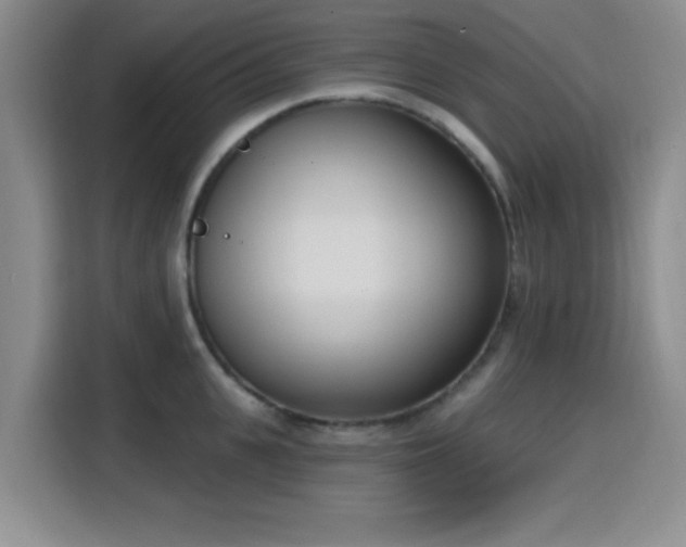 X0000116150951200911231329