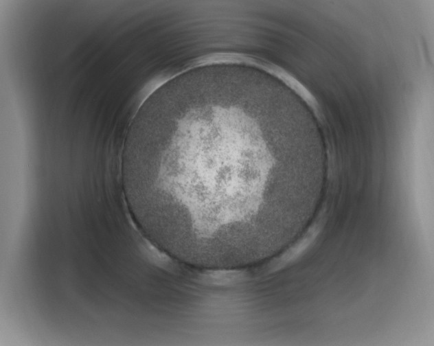 X0000116150953200911231329