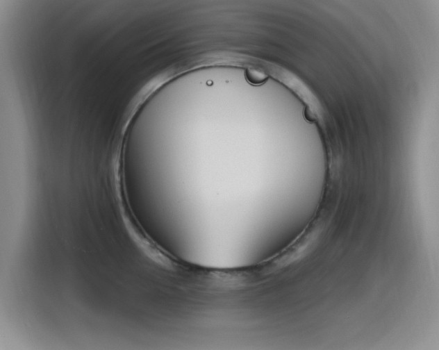 X0000116150954200911231329