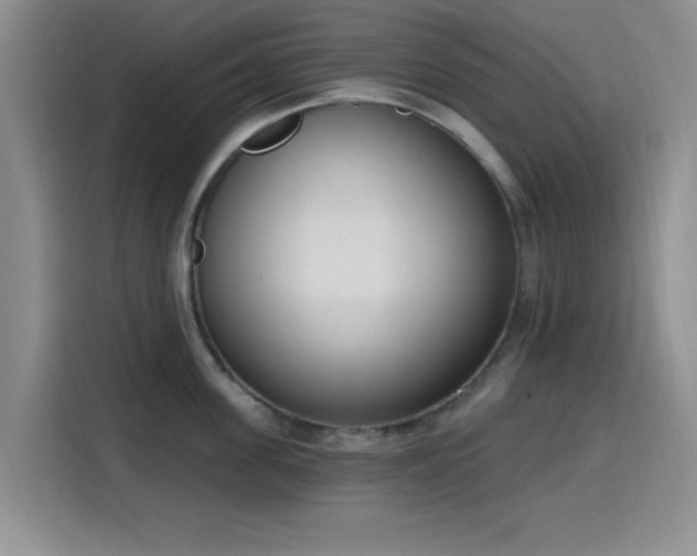 X0000116150955200911231329