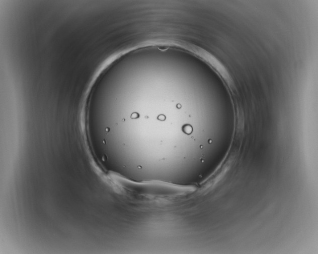 X0000116150958200911231329