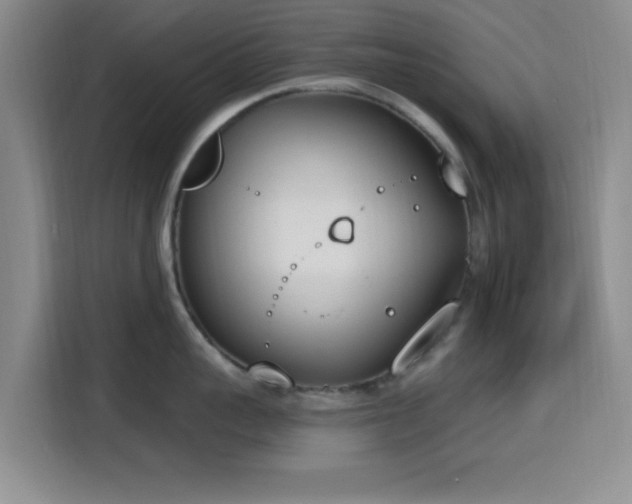 X0000116150959200911231329