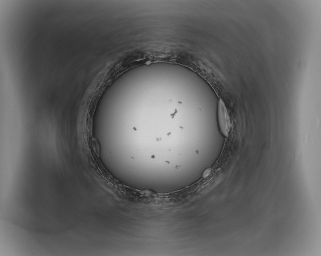 X0000116150961200911231328