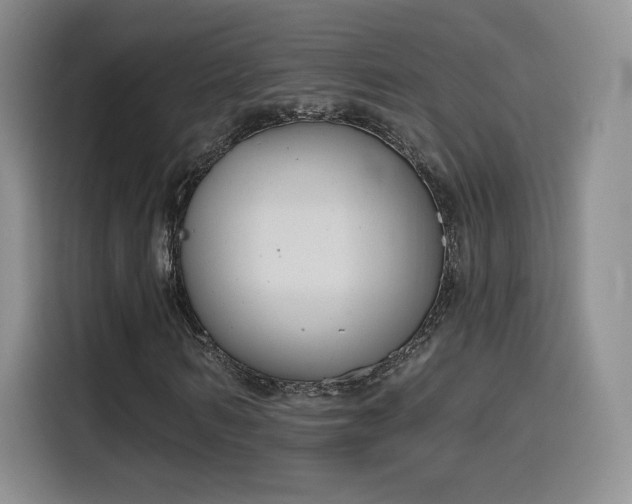 X0000116150962200911231328