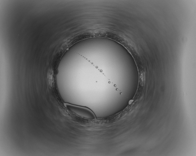 X0000116150963200911231328