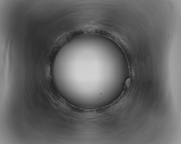 X0000116150964200911231328